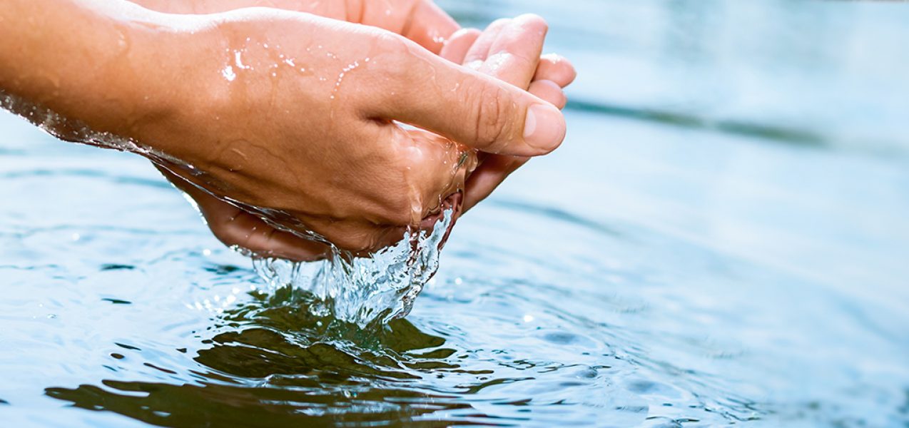 prodent_bluesafety_safedental